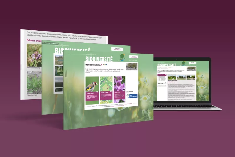 Site web Biodiversité