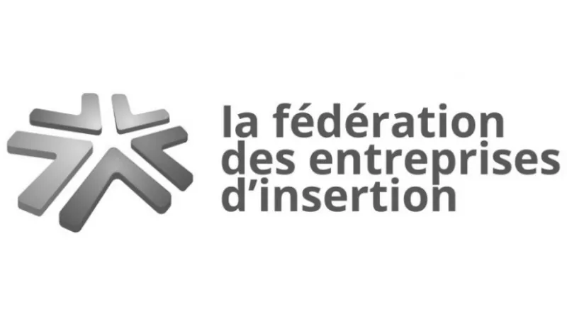 Logo la fédération des entreprises d'insertion
